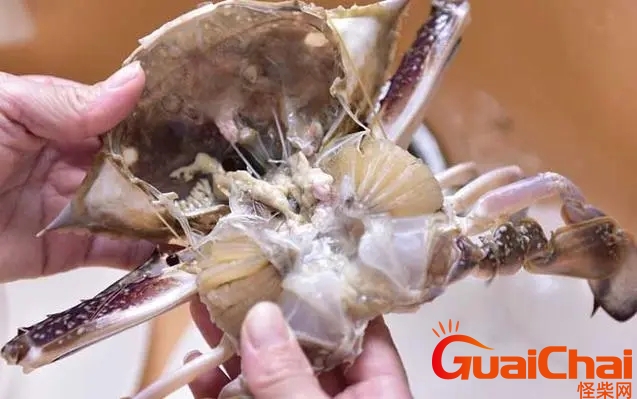螃蟹怎么处理干净 螃蟹怎么处理才能吃