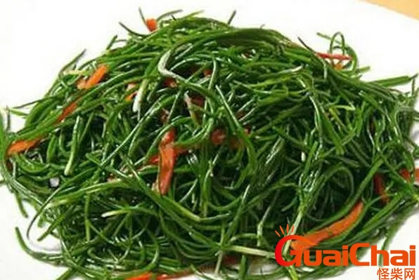 沙葱的功效与作用及营养？沙葱的功效与作用图片
