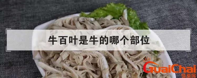 牛百叶是牛肚吗 牛百叶是牛胃吗