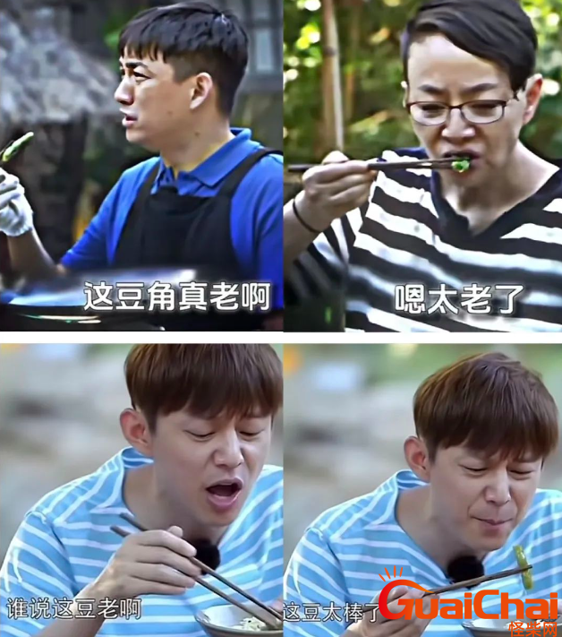 谁说这豆老的，这豆可太棒了是什么梗？